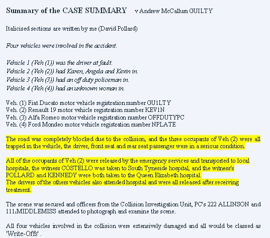 Case Summary Snippets 1